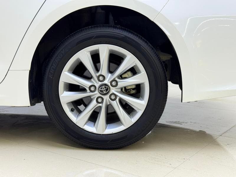 sp_wheel_back