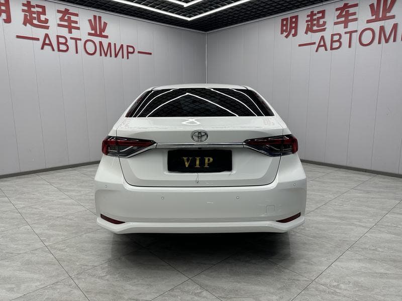 sp_back