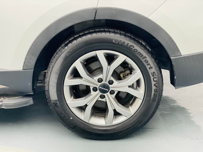 sp_wheel_back