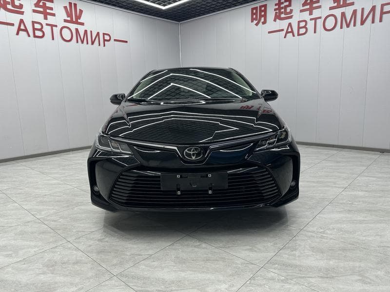 sp_front