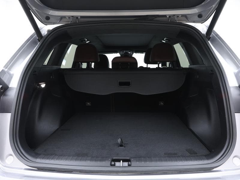 sp_baggage_compartment_back
